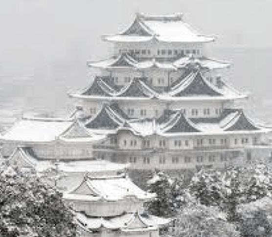 Winter Nagoya Castle